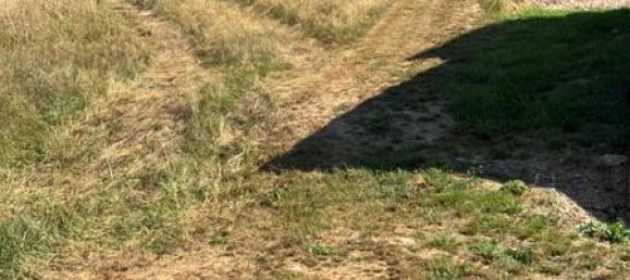  Land in Trier-Saarburg, Germany No. 348814 4