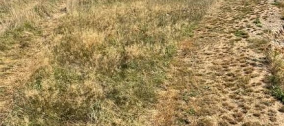  Land in Trier-Saarburg, Germany No. 348814 8