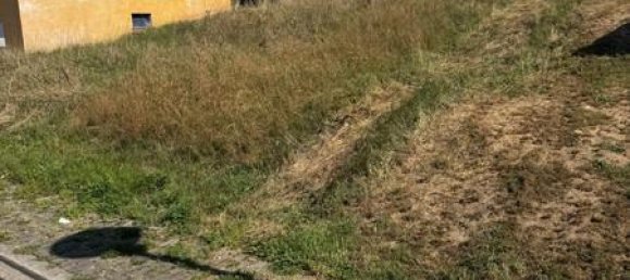  Land in Trier-Saarburg, Germany No. 348814 2