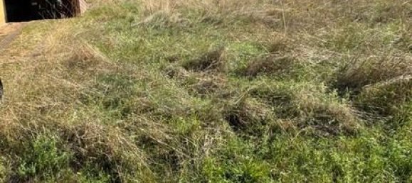  Land in Trier-Saarburg, Germany No. 348814 6