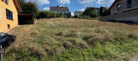  Land in Trier-Saarburg, Germany No. 348814 5