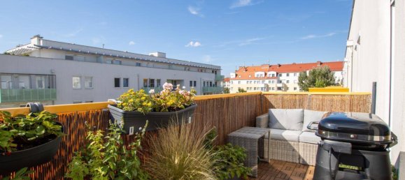 3 rooms Apartment in Traiskirchen, Austria No. 249269 9