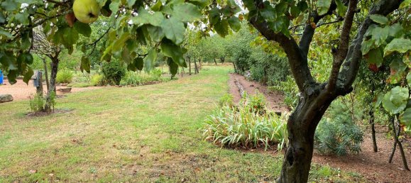 Дом с 3 спальнями в Сент-Этьен-де-Вик, Франция № 341134 20