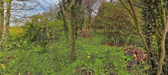 5-Zimmer Haus in Schaumburg, Germany, Nr. 189553 15