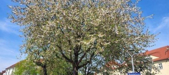 Studio in Dresden, Germany No. 351605 4