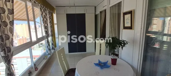1 Schlafzimmer Wohnung in Benidorm, Spain, Nr. 134110 11