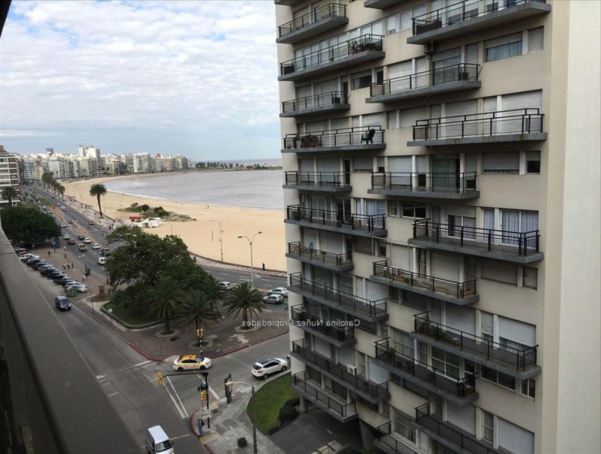 3 bedrooms Apartment in Montevideo, Uruguay No. 9361