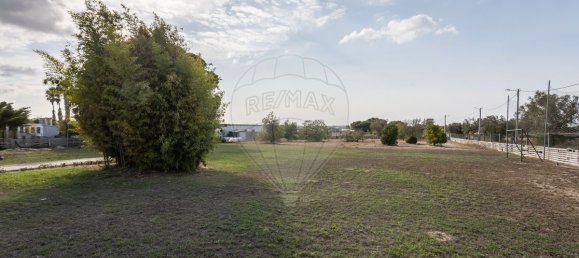 4 غرف نوم منزل في Pinhal Novo, Portugal رقم 185030 49