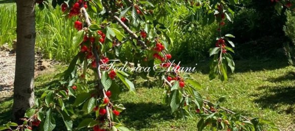 3 rooms Apartment in Castiglion Fiorentino, Italy No. 227689 12