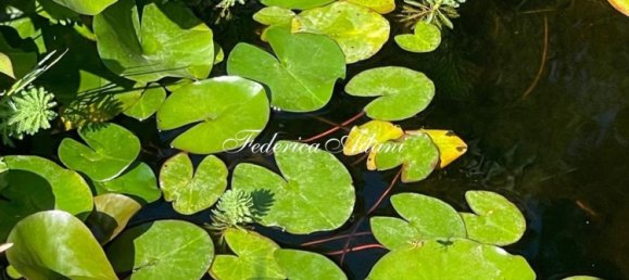 3 rooms Apartment in Castiglion Fiorentino, Italy No. 227689 14