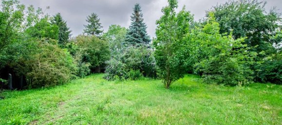 Дом с 5 комнатами в Хафельланд, Германия № 277667 8