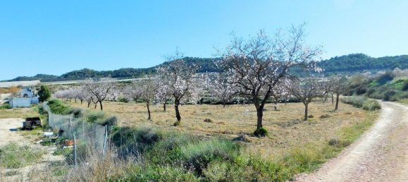 3 bedrooms House in Torremendo, Spain No. 185156 5