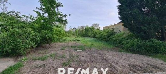  Land in Neusiedl am See, Austria No. 76175 4