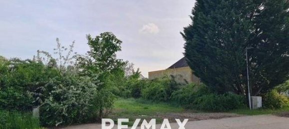  Land in Neusiedl am See, Austria No. 76175 3