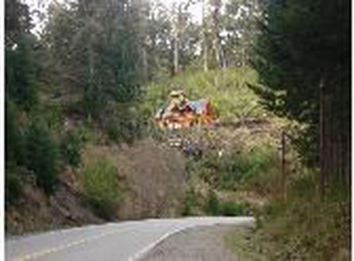  قطعة أرض في Neuquen, Argentina رقم 31899