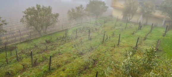 Дом с 5 спальнями в Фавайуш, Португалия № 187813 26