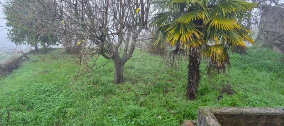 Дом с 5 спальнями в Фавайуш, Португалия № 187813 14