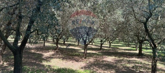  Land in Soiano del Lago, Italy No. 359624 9