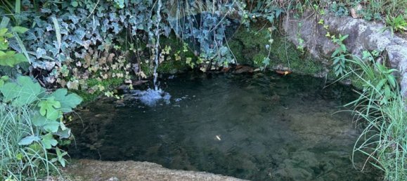  Land in Soiano del Lago, Italy No. 359624 23