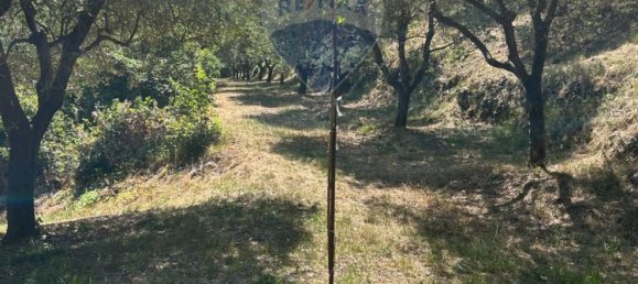  Land in Soiano del Lago, Italy No. 359624 10