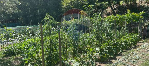  Land in Soiano del Lago, Italy No. 359624 7