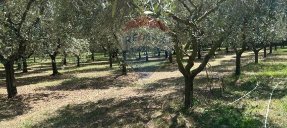  Land in Soiano del Lago, Italy No. 359624 5