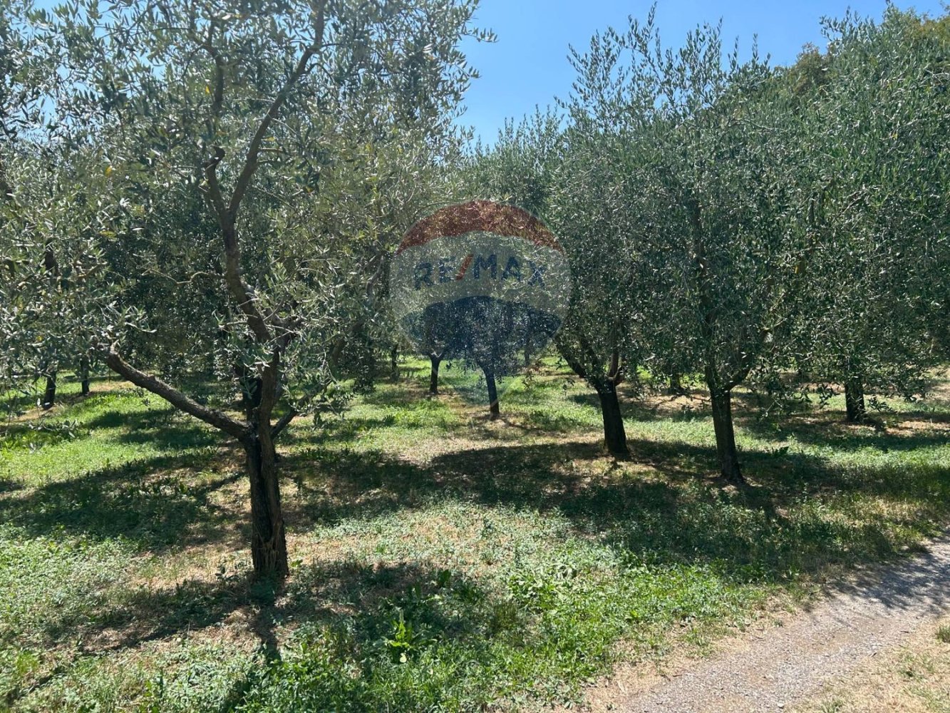  Land in Soiano del Lago, Italy No. 359624