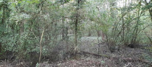 Terreno en Houry, France 9231 m² No. 223835 13