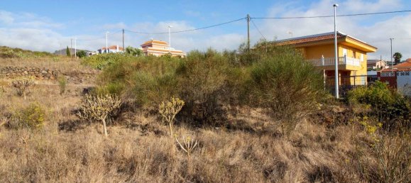 Terrain à El Rosario, Spain 9807m² No. 69356 23