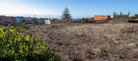 Terrain à El Rosario, Spain 9807m² No. 69356 40