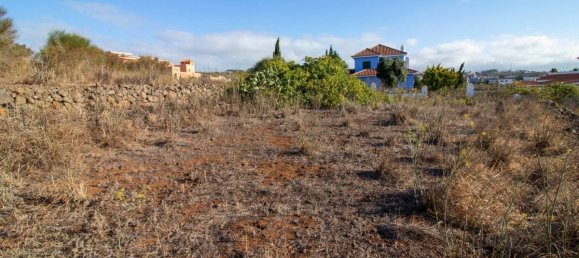 Terrain à El Rosario, Spain 9807m² No. 69356 49