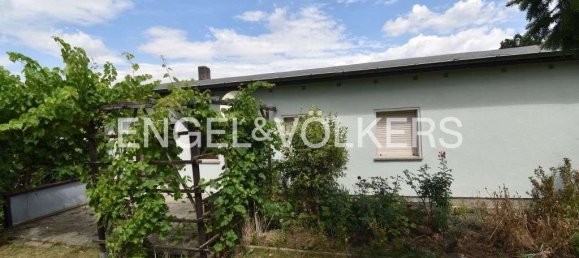 Дом с 5 комнатами в Зале, Германия № 277680 15