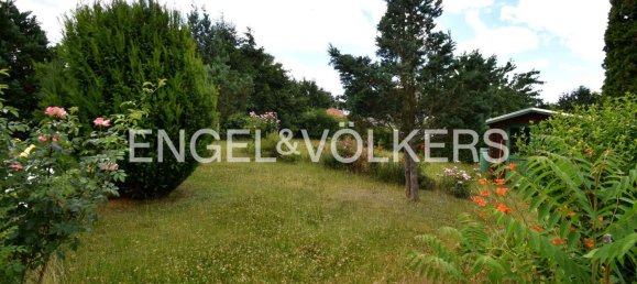 Дом с 5 комнатами в Зале, Германия № 277680 19