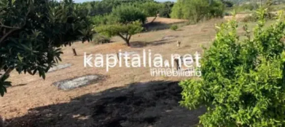 8 غرف نوم منزل في Agullent, Spain رقم 138190 37