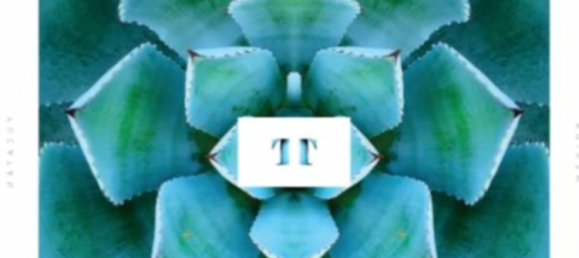 Casa de 3 dormitorios en Mérida, Mexico No. 37002 2