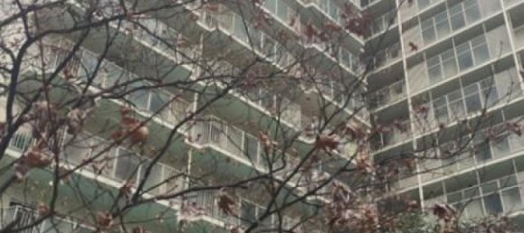 3 bedrooms Apartment in Kosaka, Japan No. 5392 2