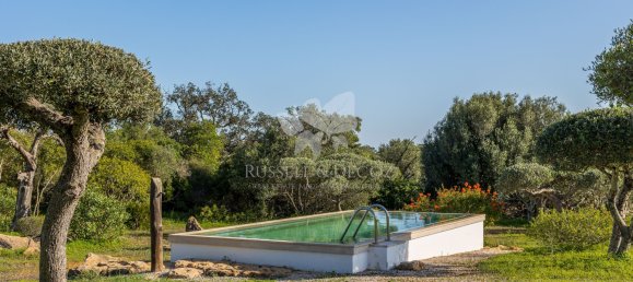 3 bedrooms Villa in Olhao, Portugal No. 124624 13