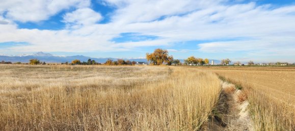  فندق في Longmont, USA 6.61متر مربع رقم 264 5