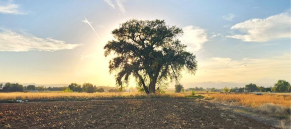  فندق في Longmont, USA 6.61متر مربع رقم 264 2