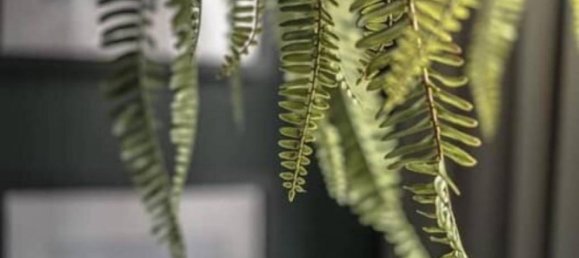 شقة 1 غرف نوم في Bangkok, Thailand رقم 13483 3