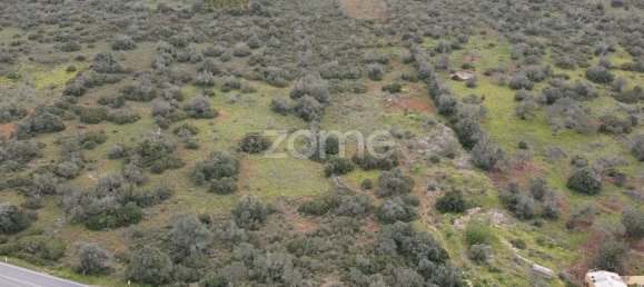 20520m² Land in Sao Bartolomeu de Messines, Portugal No. 36367 6