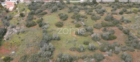 20520m² Land in Sao Bartolomeu de Messines, Portugal No. 36367 12
