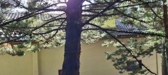 9غرفة فيلا في Vallinfreda, Italy رقم 8798 10