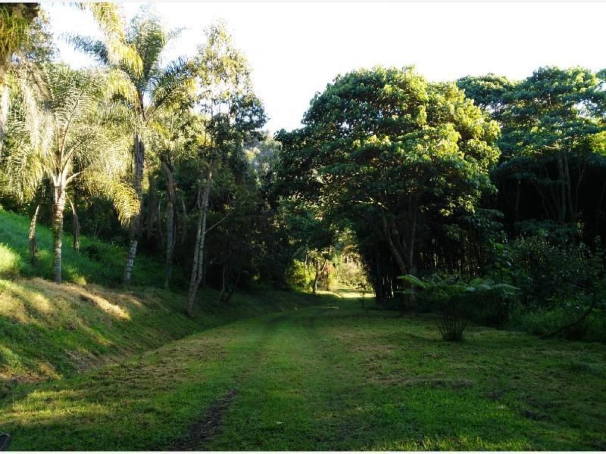 4 bedrooms House in Veracruz, Mexico No. 216432