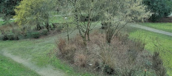 1 bedroom Apartment in Charleville-Mezieres, France No. 95240 3