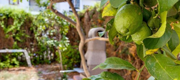 2 bedrooms Apartment in Alicante, Spain No. 185605 37