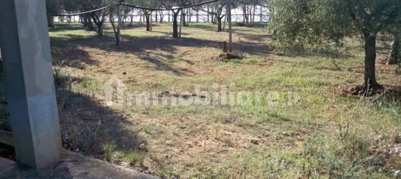 7 bedrooms Villa in Vittoria, Italy No. 200023 4