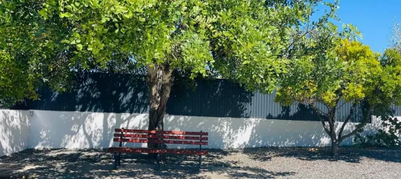 5 bedrooms House in Loule, Portugal No. 113981 10