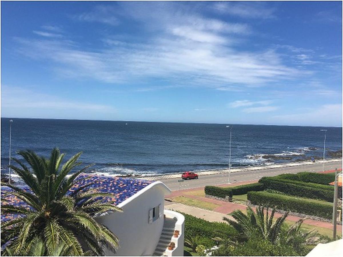 4 bedrooms Apartment in Maldonado, Uruguay No. 4439