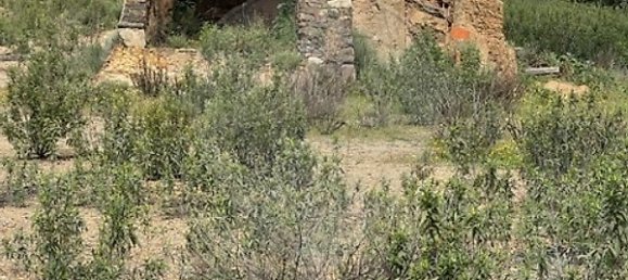 Grundstück in Silves, Portugal 140m², Nr. 54477 7